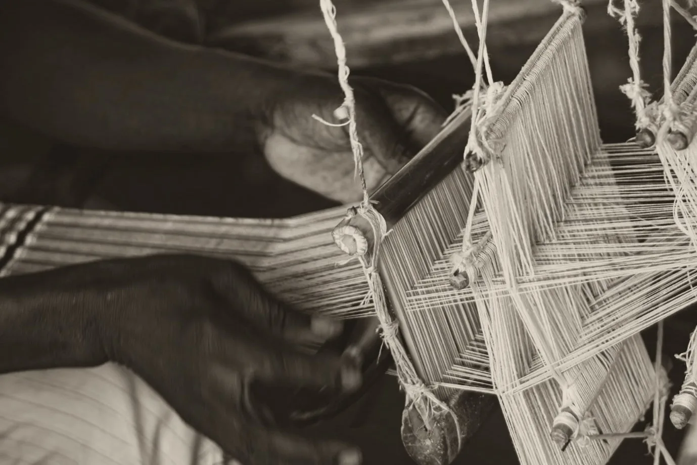 A weaver's hands working the warp threads and heddles of a wooden handloom, in sepia